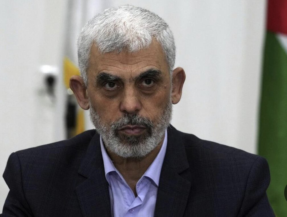 Vivid.🇮🇱 tweet media