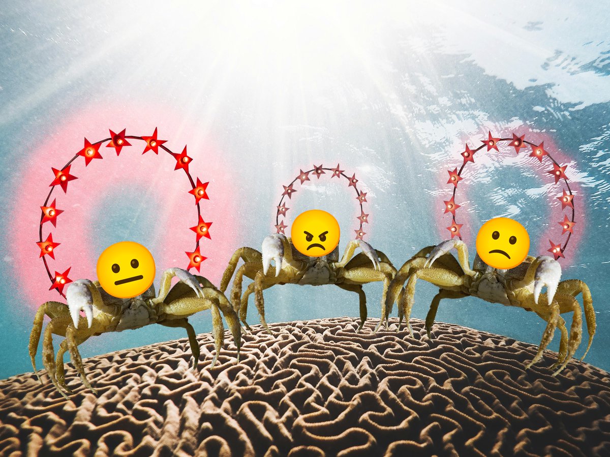 schoenblum's tweet photo. What's a cancer GPS? Turns out, it tells you how bad brain tumors are based on their halo: the faster it decays the worse the condition.

More info in this @HokkaidoUni press release:
https://t.co/w7NXAIDPnk
Also read the original paper by @ICReDDconnect:
https://t.co/op0a0BYjot https://t.co/jmQaBswUvn