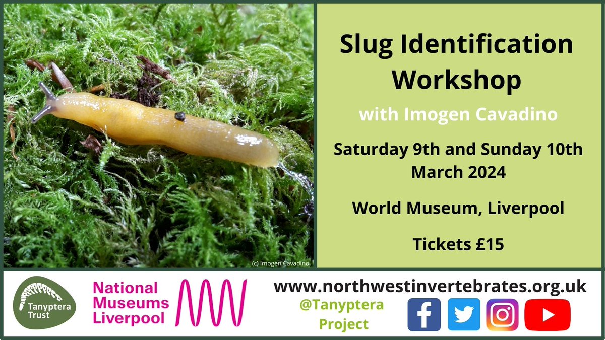 Learn how to identify slugs in our upcoming workshop with @I_Cavadino on the 9th and 10th March 🔎 Find out more and book your place here: northwestinvertebrates.org.uk/event/slugs-2/