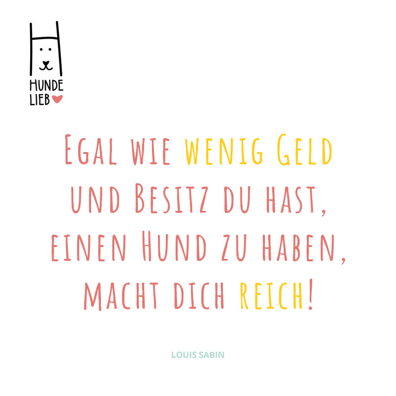 So einfach kann jede und jeder reich werden

#hundesprüche #hundezitate #hundelieb #dogsharing #dogfluencer #dailydoseofdog #dogsharingdeutschland #dogsharingösterreich #dogsharingschweiz #dogcommunity #lovedogs #hund #hunde #hundeverliebt #hundleihen #hundeleben #hundeglück