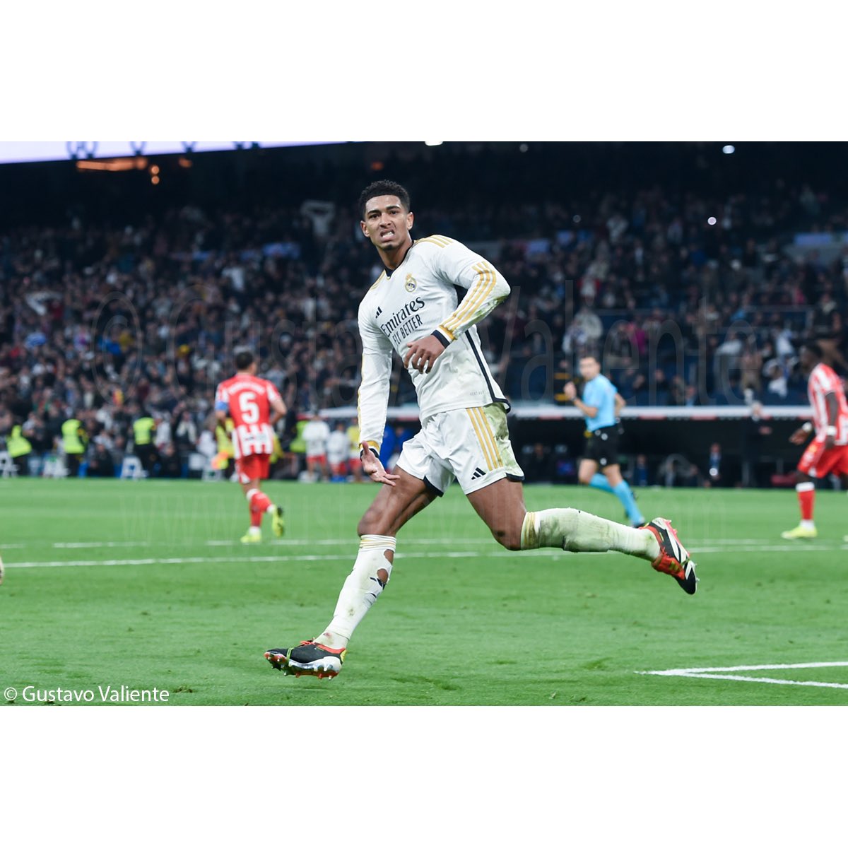 21/01/2024 Real Madrid vs U.D. Almería

#Madrid #Fútbol #deporte #RealMadrid #UDAlmería @laliga @realmadrid @U_D_Almeria #SantiagoBernabéu #estadio #football #fotoperiodismo #pressphotographer #sport #Nikon #NikonD4S @NikonEspana 

Shot for #Xinhua