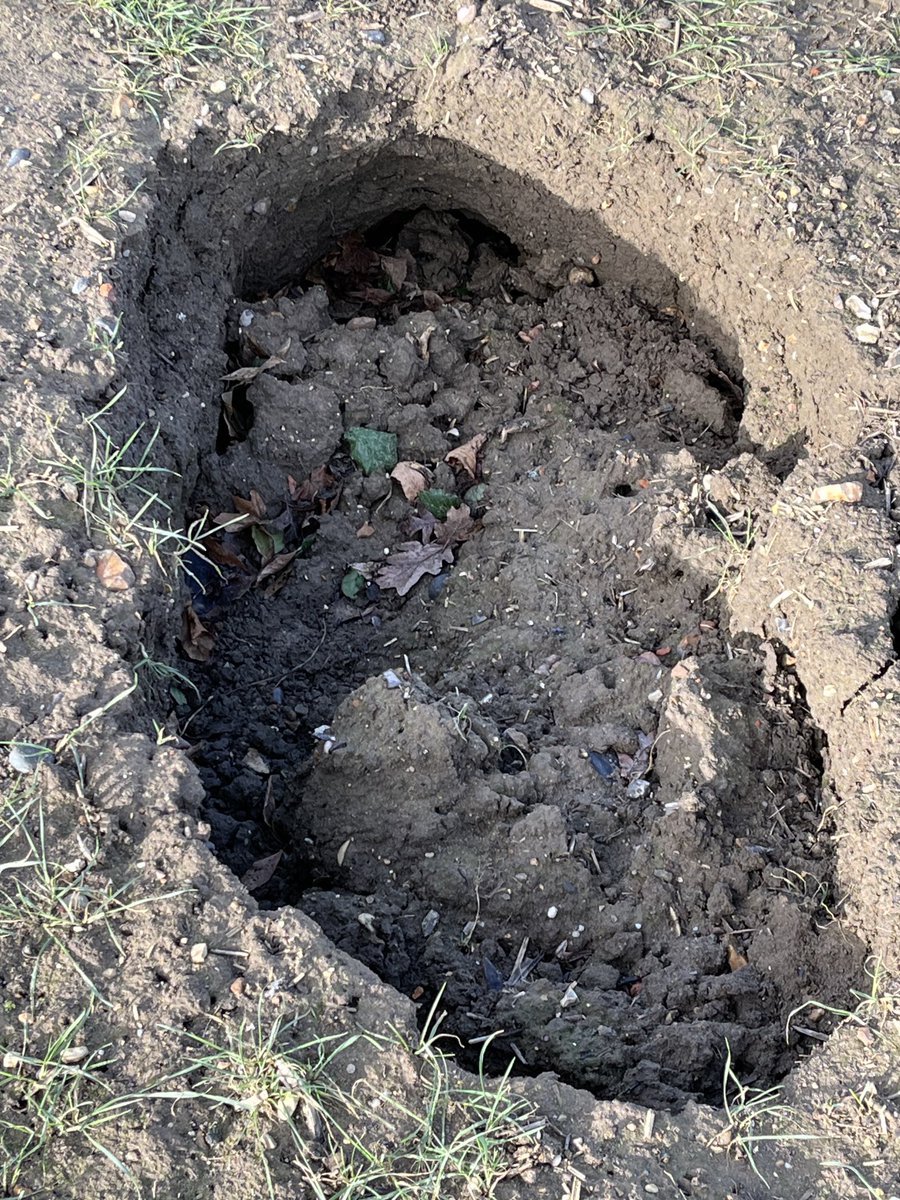 Mike Porter 🚜 tweet media