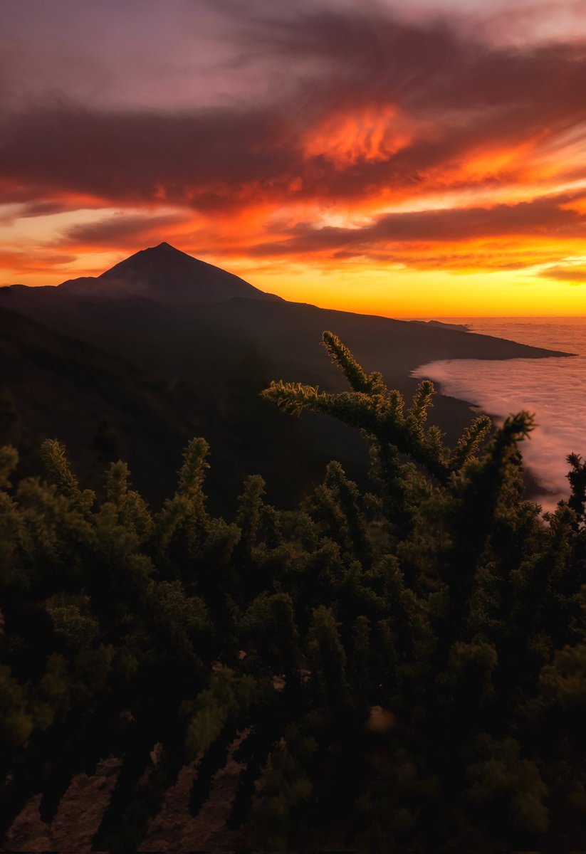 PhotoshotTen's tweet photo. Un 22 de enero de 1954, se creaba el Parque Nacional del Teide. Un tesoro que hay que valorar y cuidar más y mejor.
Aquí les dejo mi pequeño homenaje al lugar que me ha dado tantos buenos momentos. https://t.co/xSKZz8u3Ho