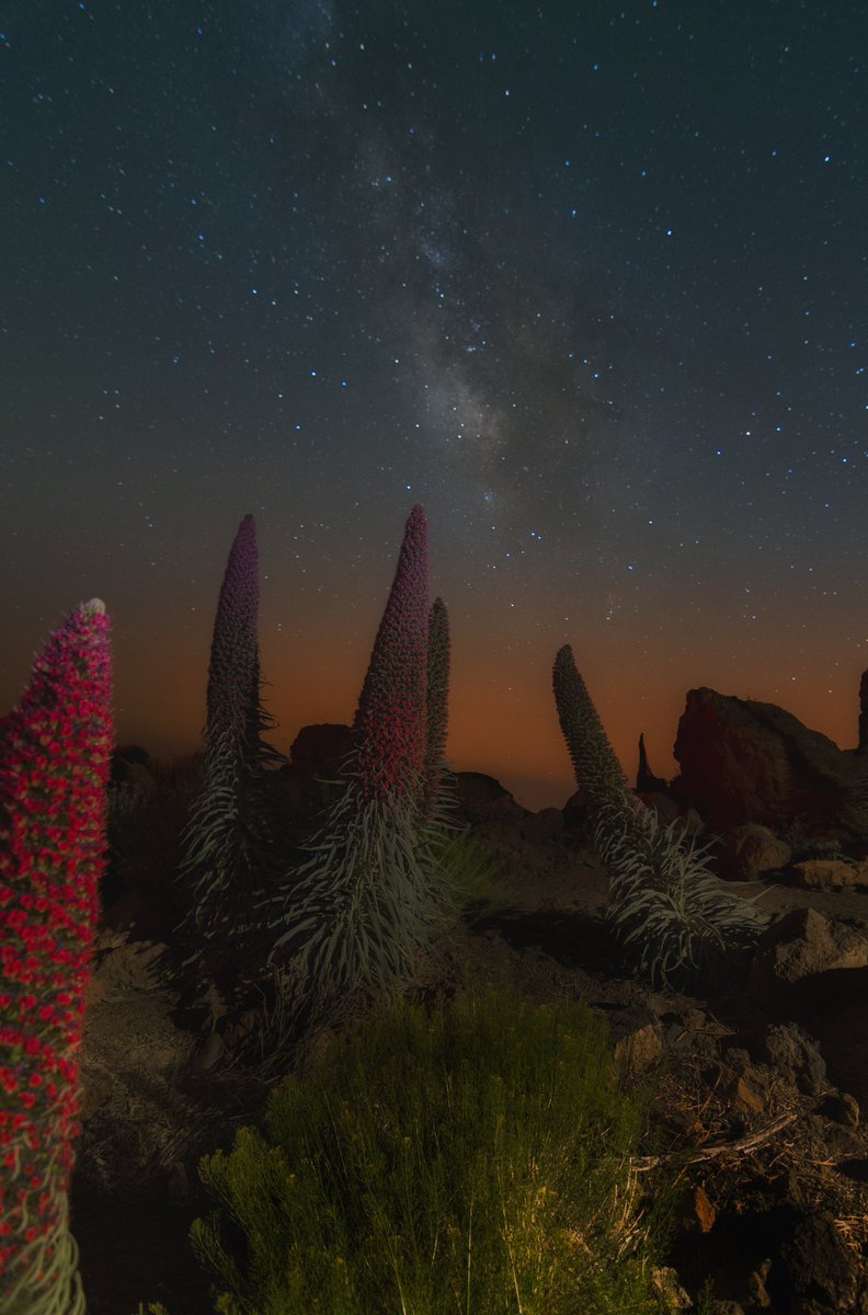 PhotoshotTen's tweet photo. Un 22 de enero de 1954, se creaba el Parque Nacional del Teide. Un tesoro que hay que valorar y cuidar más y mejor.
Aquí les dejo mi pequeño homenaje al lugar que me ha dado tantos buenos momentos. https://t.co/xSKZz8u3Ho