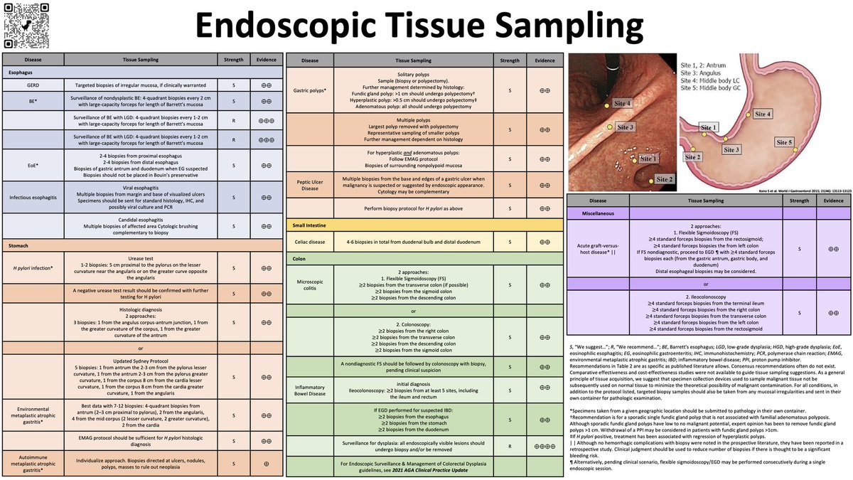 Endoscopic Tissue Sampling ▪️Esophagus ▪️Stomach ▪️Small intestine ▪️Colon ▪️Miscellaneous Here’s another version I compiled. Note: overall low quality of evidence for each recommendation, but this can be nice guidance for early endoscopists. #GITwitter