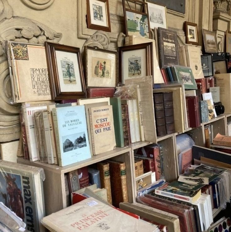 studywlets's tweet image. oii, sou nova aqui no #studytwt!!!
⌕: #studytwt | #collegetwt | #langtwt

— le, ela/dela, enfj, 2003
— farmácia 
— pt-br; aprendendo inglês e francês 

♡ : livros, filmes, kpop, post-punk, vinis, biologia &amp;amp; arte

♡/↺ = mutuals