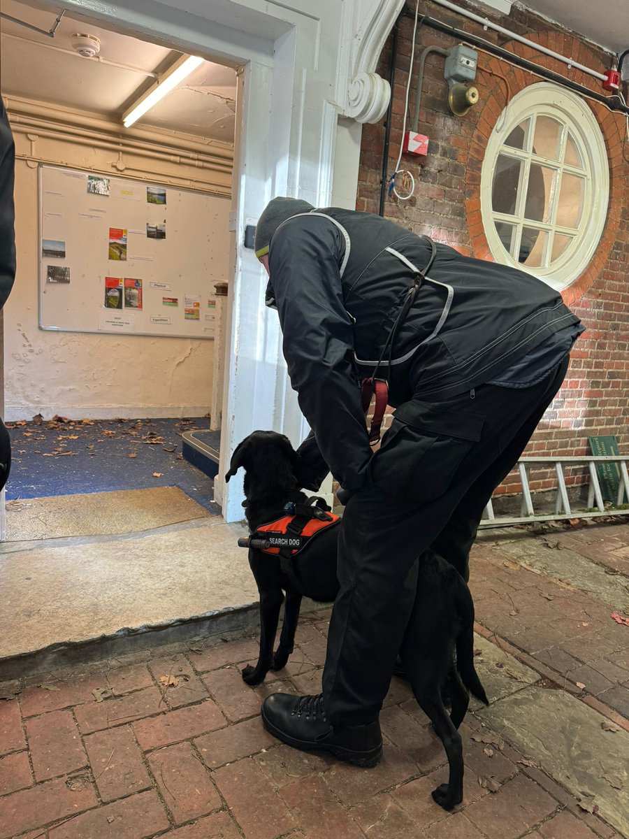 The #UKISAR Canine Team have just finished a 3-day intensive training course!  

The team focused on enhancing and maintaining the skills needed for a #UKISAR deployment.

#SearchAndRescue #CanineHeroes