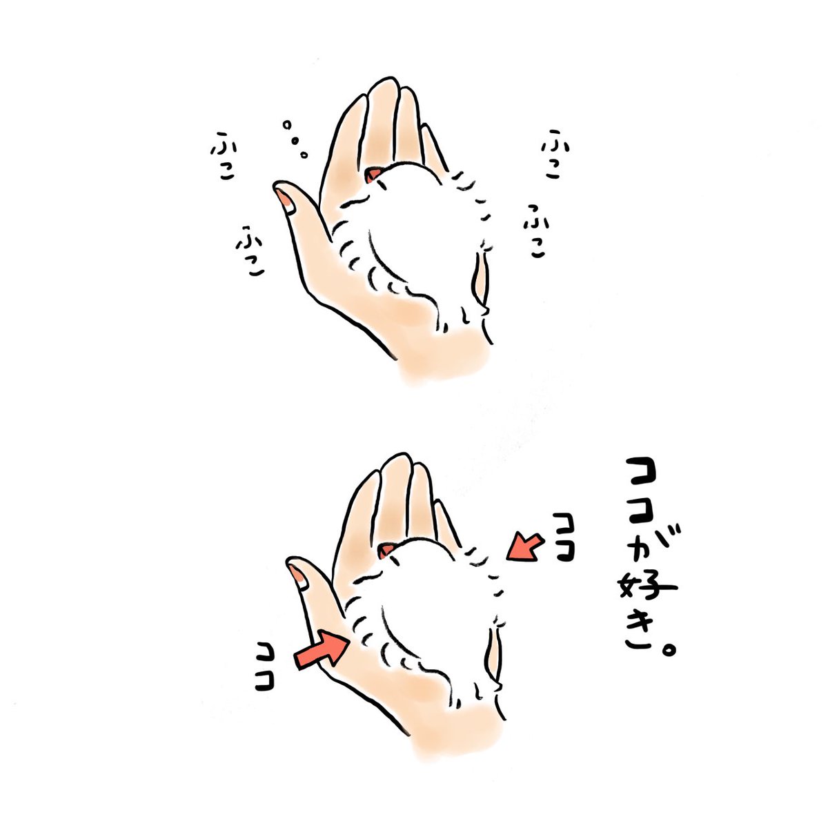ココが好き 
