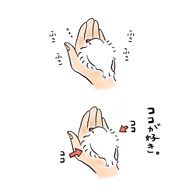 ココが好き 