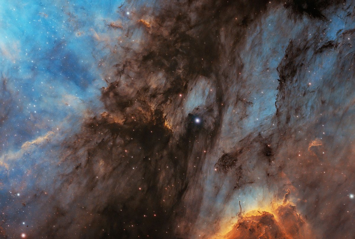 sciencespacetec's tweet photo. The Pelican Nebula is slowly being transformed. 
The light and radiation from the young, energetic stars is slowly transforming the cold gas to hot gas.

#PelicanNebula #Astronomy #Astrophotography #Science #Space #Telescope #Technology #sciencespacetec https://t.co/tGQYiU27yl