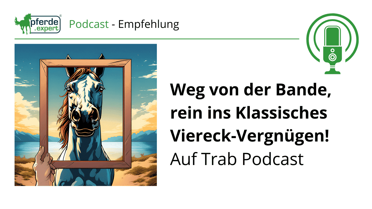 Horst Becker gibt Tipps zum Reiten in der neuen Auf Trab Podcast-Folge: pferde.expert/blog/weg-von-d…

#reiten #pferd #pferdeausbildung