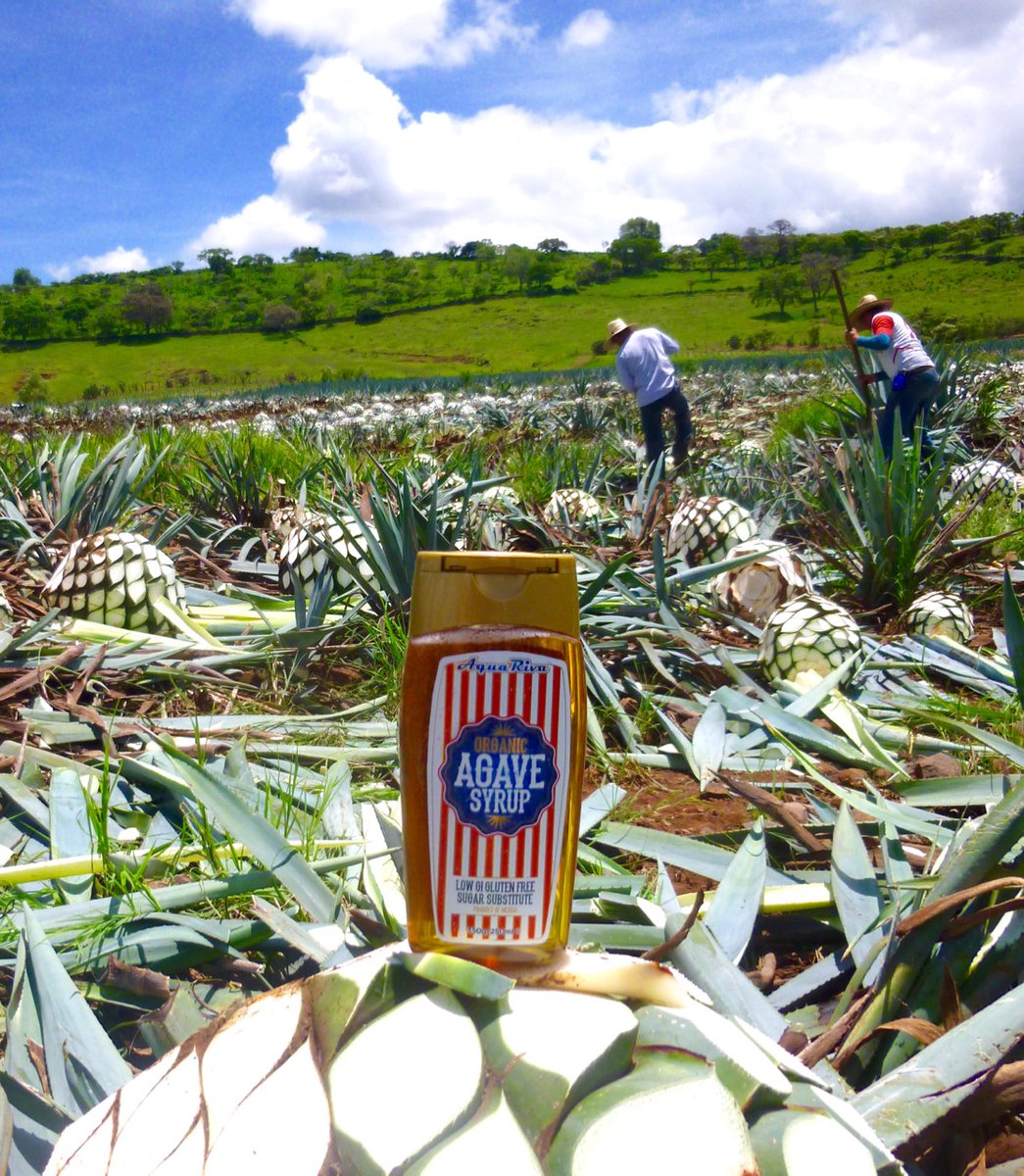 Cleo Rocos all things agave. #singleingredient #Organic #nochemicals   aquariva.co.uk