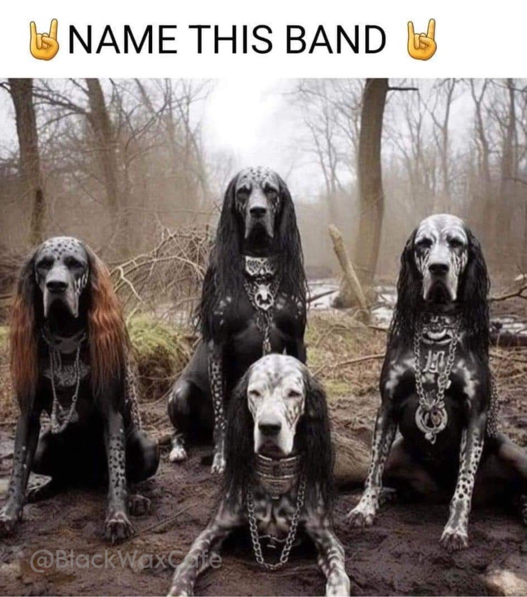 Name This Band.