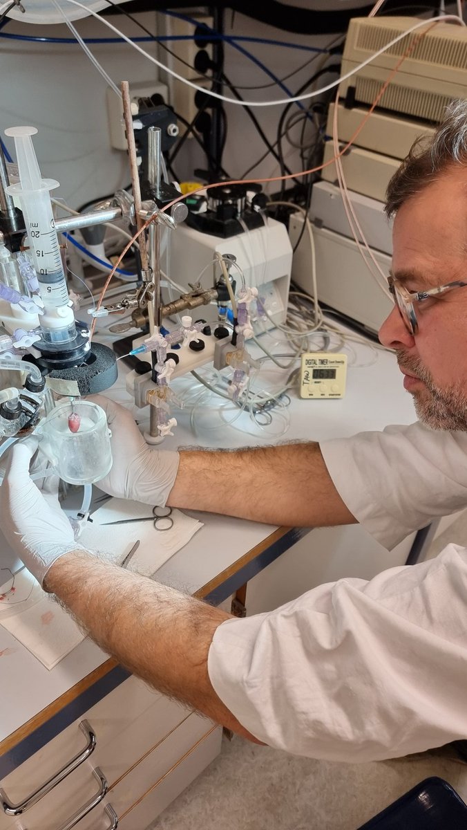 FysmeduioHeart's tweet photo. Cardiac/transplantation research-: Mounting an isolated heart on a machine https://t.co/LtWk91wegA
