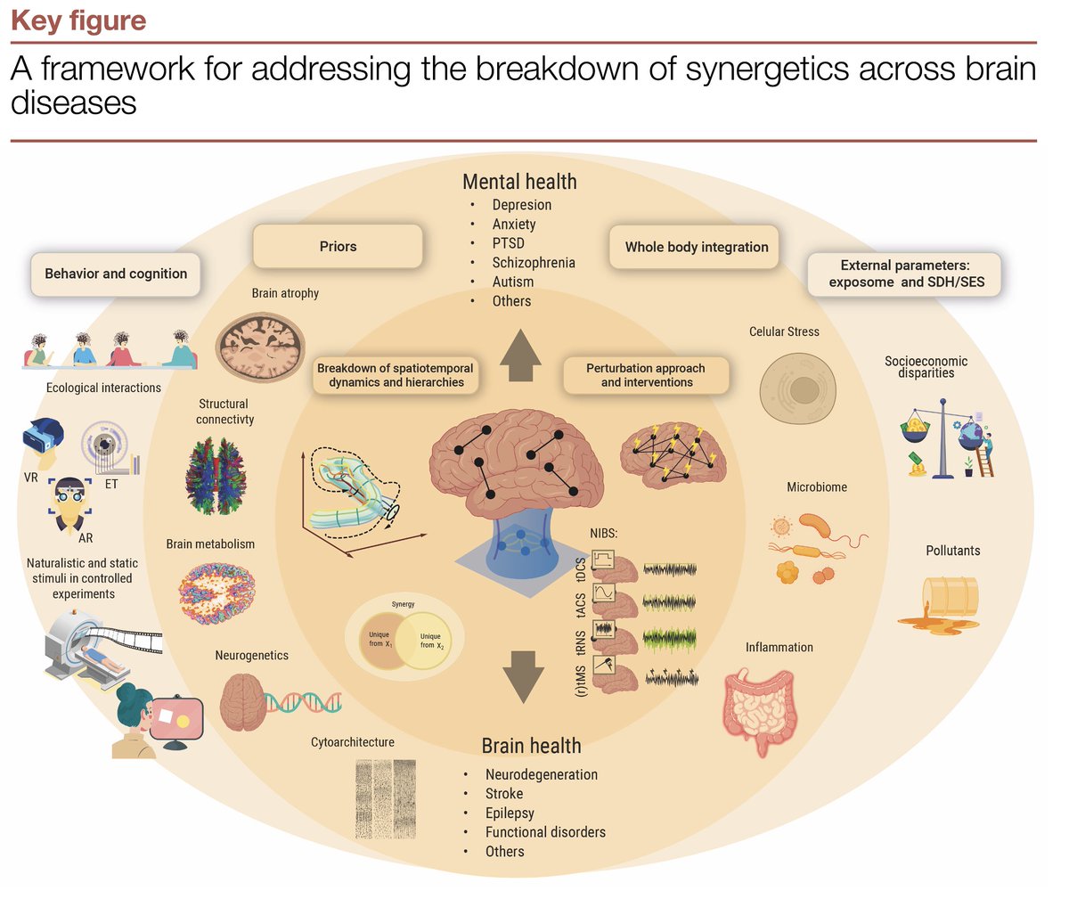 The approach includes (a) low-dimensional hierarchies for structure-function associations, (b) whole-brain generative models/perturbation to handle heterogeneity, (c) integrative transdiagnostic pathophysiological pathways, and (d) balancing experimental control and ecology. 2/7