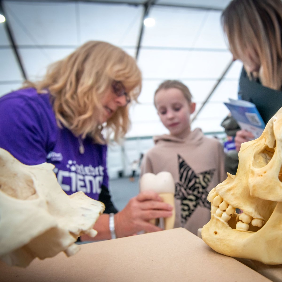 Volunteers from #DurhamArchaeology joined the @durham_uni #CelebrateScience2023 marquee last term to put on some hands-on #archaeology activities for the public - read more in our news story below! 👇

durham.ac.uk/departments/ac…

#DUScienceEngagement #ScienceOutreach #DUinspire