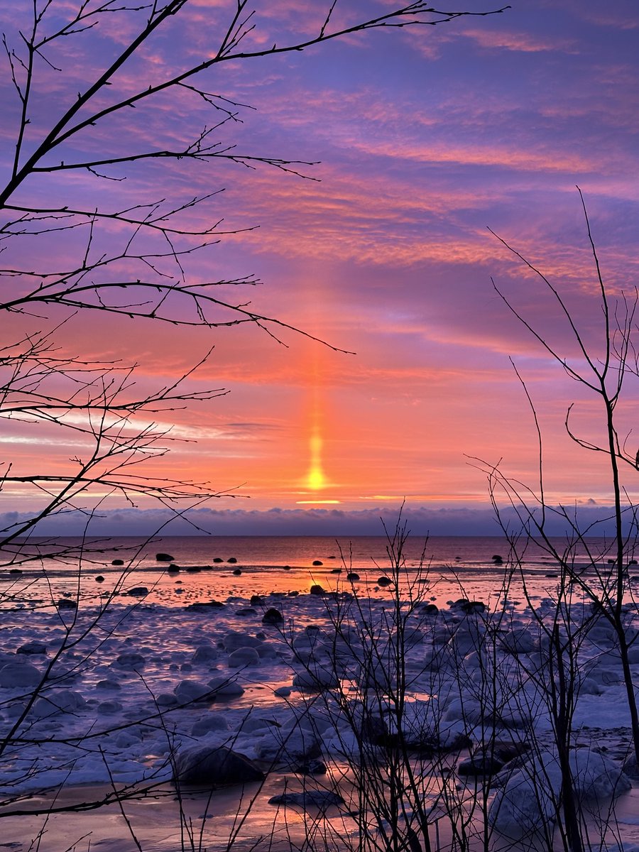 btleparadis's tweet image. Spectacle haut en couleur ce matin 🩷💜🩷💜