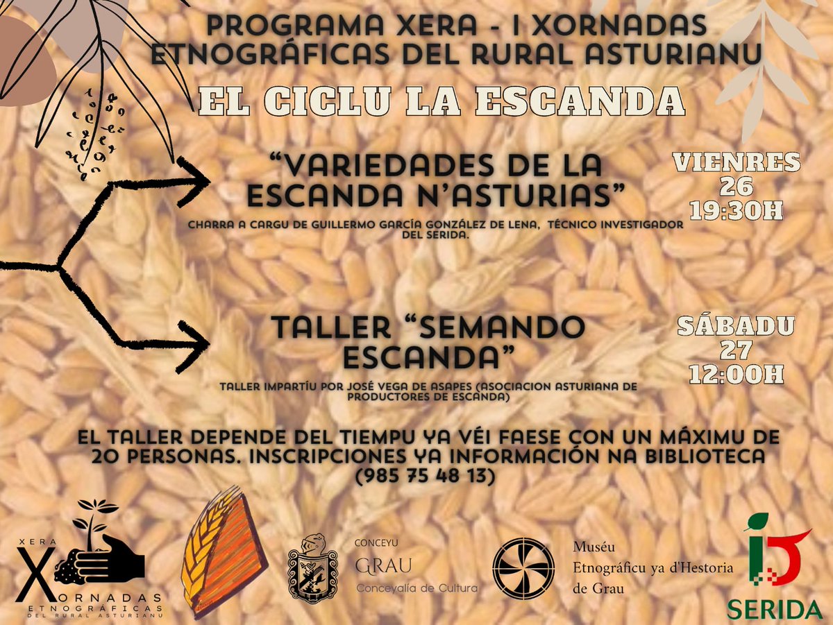 SeridaAst's tweet photo. 📢🌾Te recordamos que, este viernes 26 de enero a las 19:30 h, Guillermo García imparte en la Casa de Cultura @Ayto_Grau_Grado la charla⬇️
🟢"Variedades de escanda asturiana seleccionadas por el SERIDA"
#Agroalnext @P_Recuperacion @eu_next @CienciaGob
#ASAPES @alimentosastur https://t.co/Bei2gayO5E