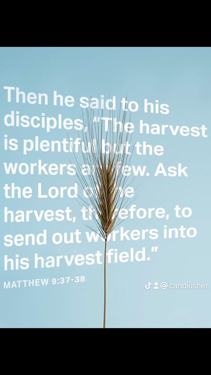 candijones's tweet photo. There are souls that need to be saved.   Yet we're scared to do God's work.  Do you understand that every soul you don't evangelize to is on your hands?  Ezekiel 3:17-21.  Jude 1:23-24.    
#harvest #is #ready https://t.co/oUiL46j2QK