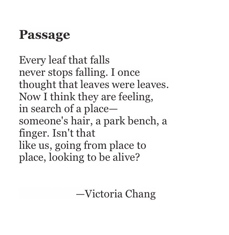 Joseph Fasano tweet media