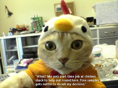 ChicenToy's tweet photo. Chicen Toy got Chicen Hat $CTOY https://t.co/qbRwcjJqv1