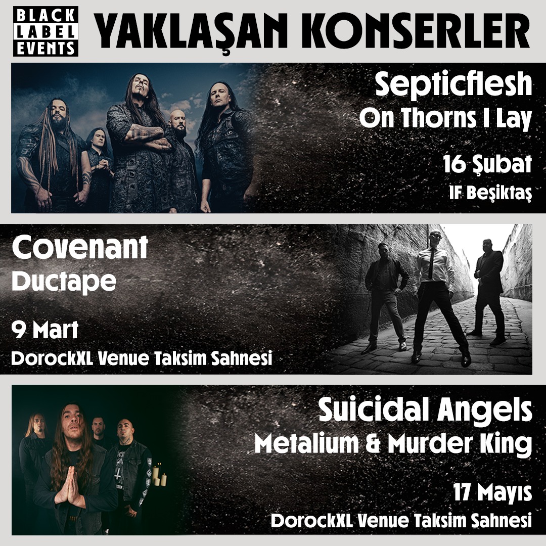 Mazhar Şiringöz (@mazmaz661) on Twitter photo 