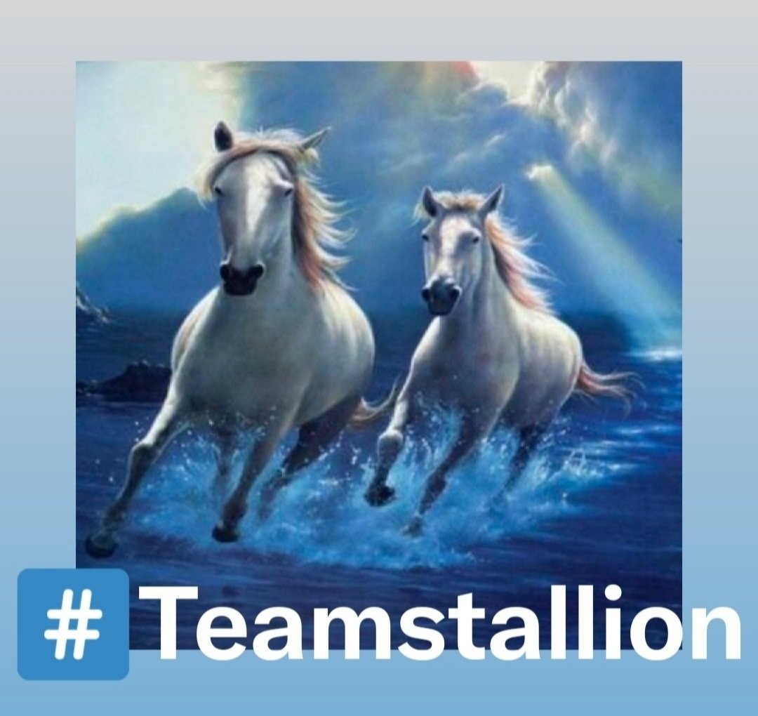 #TEAMSTALLION @italianostyle2 @Nathyan1997 @MarEthr @BrettMGWV @DianeDaQueen @MarthaCandia21 @R3_Adv @Meggy_Lov @moni_dollnature @ginestarros @JIMENAC__ @Spencerjames211 @MarcelaErcia @monicampon @doc_mazz @lumpie125 @MARTHA_CAN2 @nuvisionquestt2 @BrettMGWV2 @bluea125 @Siogo61