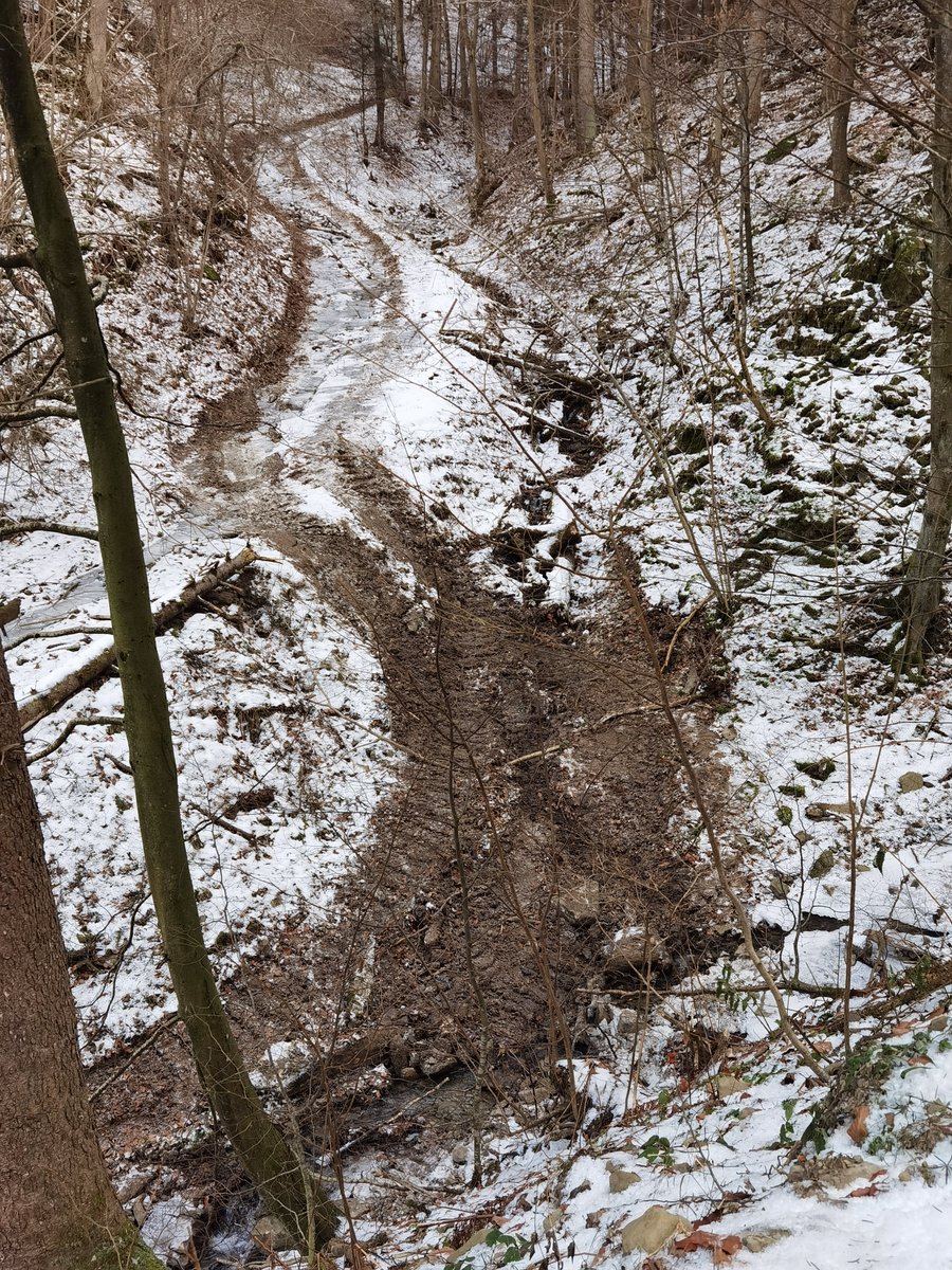 LZ_VLK's tweet image. Cez #víkend sme kontrolovali na Čergove lesohospodárske aktivity. A stále dookola to isté. #Výruby, jazdenie potokmi. #Les, tak ako #papier, znesie všetko, všakže?
A inšpekcia vždy povie iba "nič sa nedeje, všetko je v súlade so zákonmi".