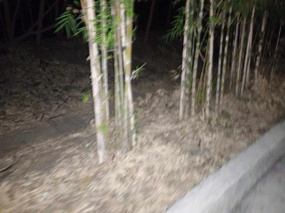 LaspinasVic's tweet photo. Eto na hitsura Ng makasalanang gubat sa taguig fti maliwanag na Po wla Ng tambay https://t.co/HcT4co2ia6