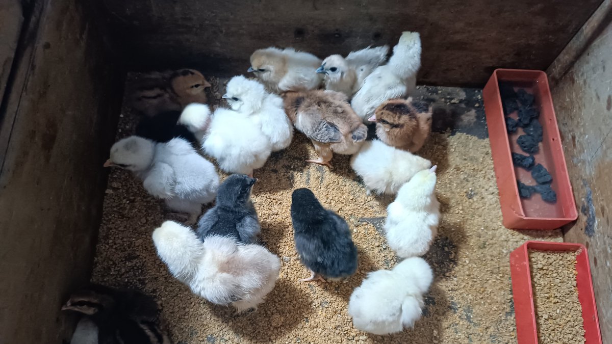 Feliz inicio de semana, sean prosperados en las labores que hagan con esfuerzo,  amor y dedicación.   No sé rindan y persigan sus sueños.  Los sueños se cumplen trabajando! Un café y un abrazo fuerte y palante. 🤗