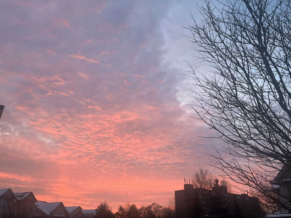 MsBrooksWRDSB's tweet photo. Something about cotton candy skies just brings peace and calm. https://t.co/y2Cc7cw6gq