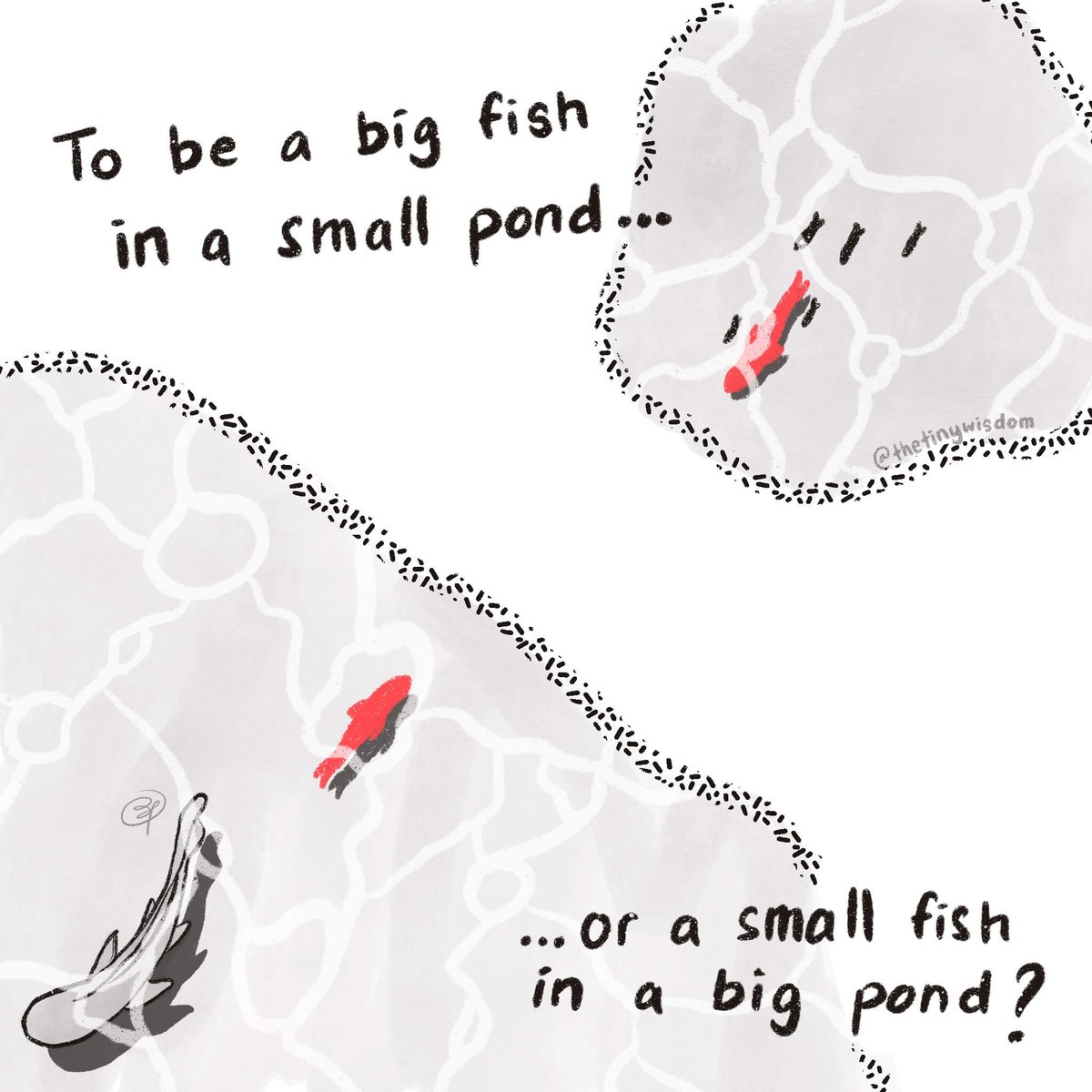 thetinywisdom's tweet photo. To be a big fish in a small pond, or...

A small fish in a big pond?

Part 1/2 https://t.co/WoA9DZZZ5N