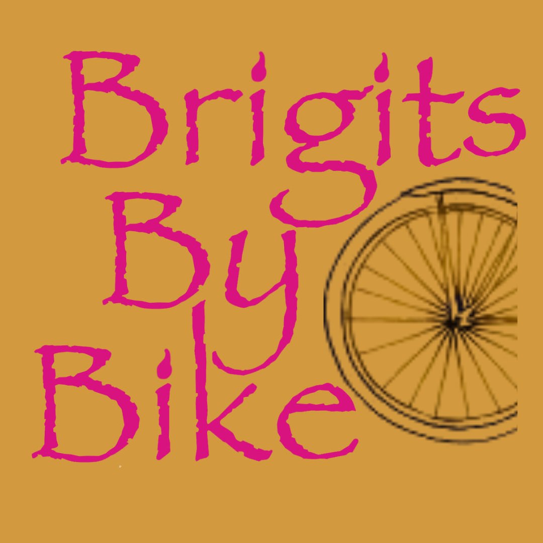 Councillor Donna Cooney tweet media