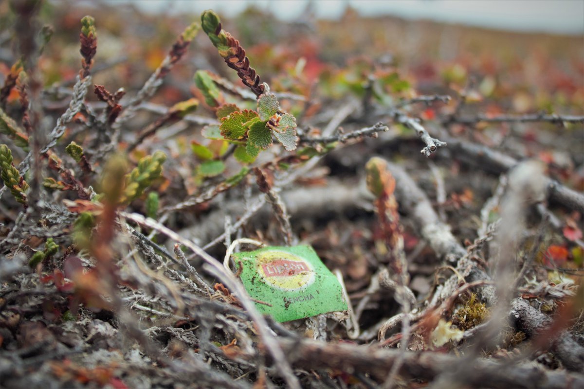 Jonathan von Oppen tweet media