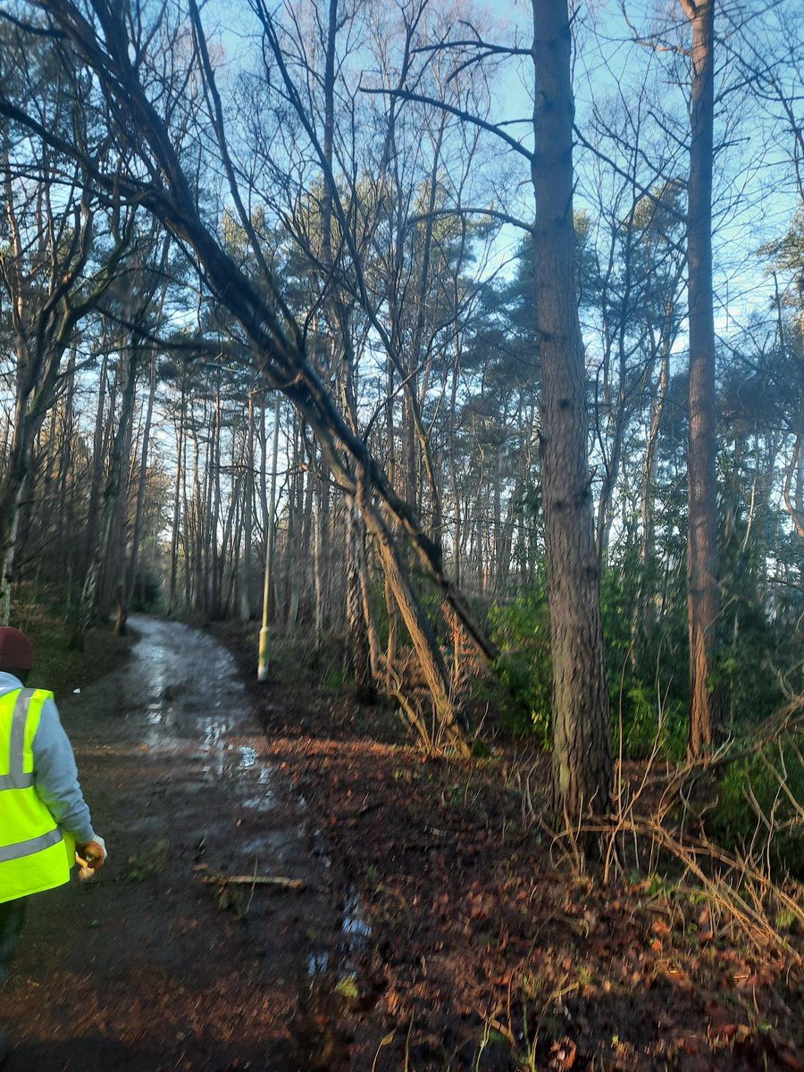 Unpaid work allows people to pay back to their local communities. Our Glenrothes and Buckhaven #unpaidwork squads have been out today helping to clear dangerous branches, trees and debris in #Fife which have been caused by #StormIsha . 

#Community #communityfirst #SmartJustice
