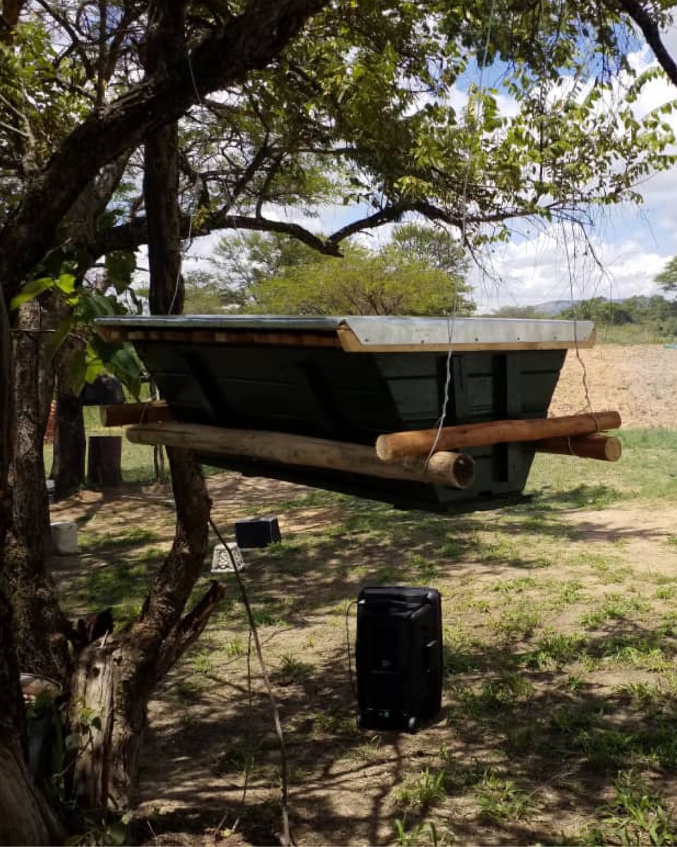 At the end of last year, our team in Zimbabwe opened their very own Honey Shop. But as you’d guess, this shop does a lot more than just sell honey. It is a place for learning, discussion and Nature-based Beekeeping with an emphasis on low cost hives and bee ecology.