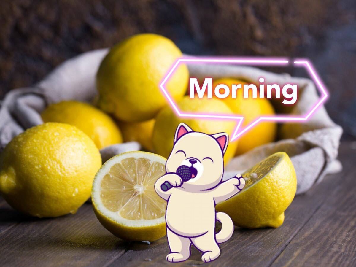 kishusol's tweet photo. $Kishu Inu on $Sol is ready for a new week full of surprises 🐶🚀

Get ready, this is just getting started.

#Kishu #Sol https://t.co/387aKlXyha