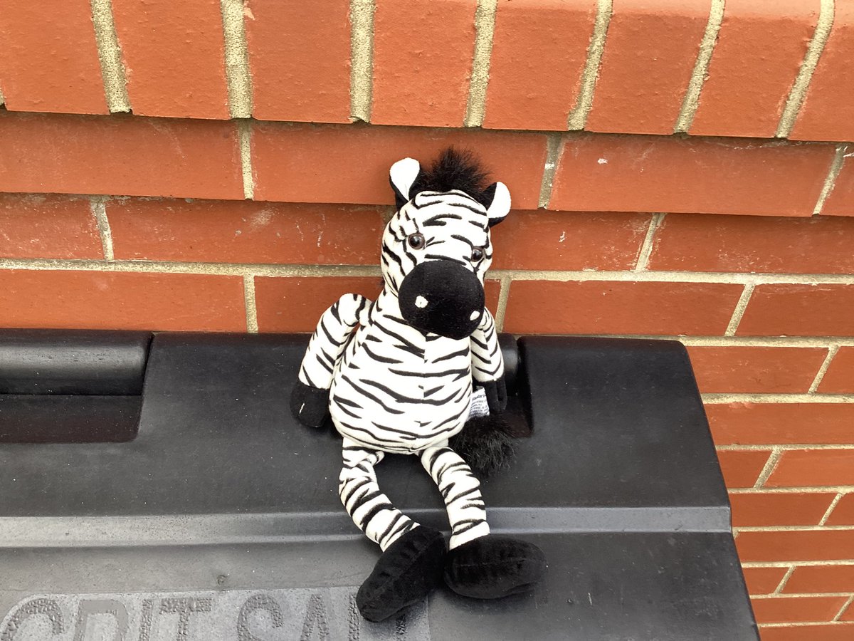 ArchibaldFirst's tweet photo. We’re on a safari this afternoon finding animals from our core book, Handa’s surprise. We took photos using the iPads. We have hidden the fruit from them just in case. #AFSLIteracy #AFSComputing https://t.co/L2FYuw0hHo