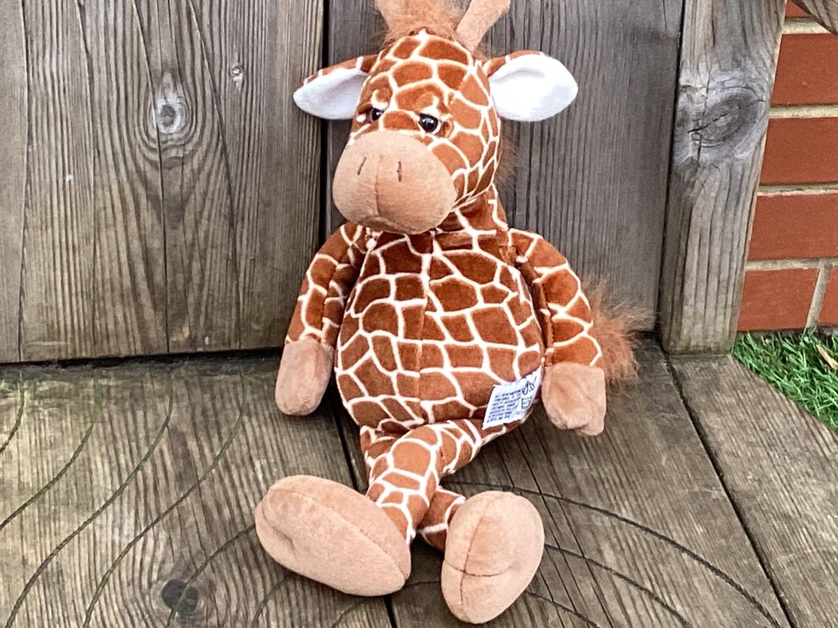 ArchibaldFirst's tweet photo. We’re on a safari this afternoon finding animals from our core book, Handa’s surprise. We took photos using the iPads. We have hidden the fruit from them just in case. #AFSLIteracy #AFSComputing https://t.co/L2FYuw0hHo