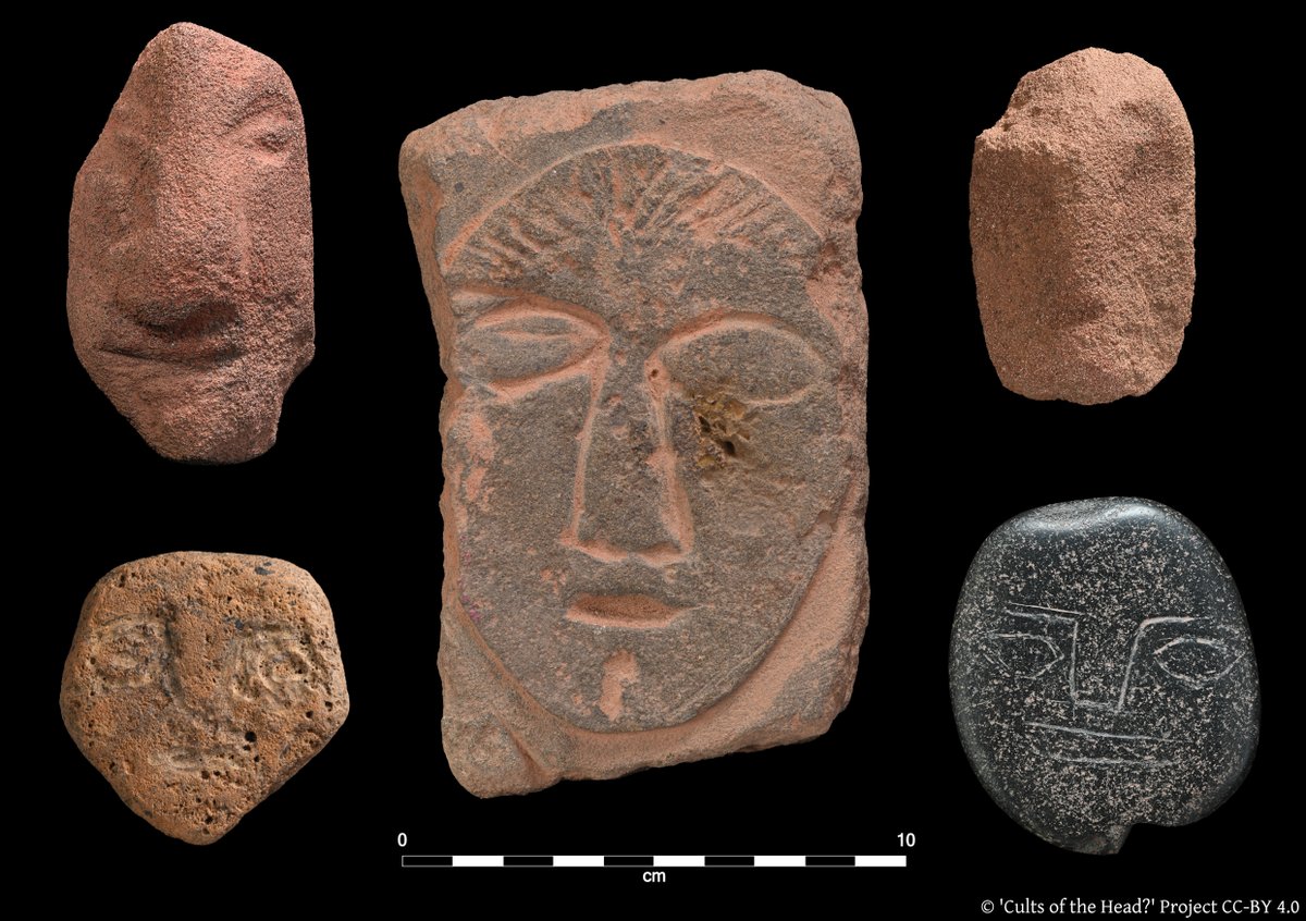 Happy New Year from “Cults of the Head?”! We will be busy this winter as we continue to 2D and 3D record the heads from Dean Hall Roman Temple. Here's a sneak peak for #FindsFriday
<a href="/LeverhulmeTrust/">The Leverhulme Trust</a>  <a href="/UoYArchaeology/">Archaeology UoYork</a>