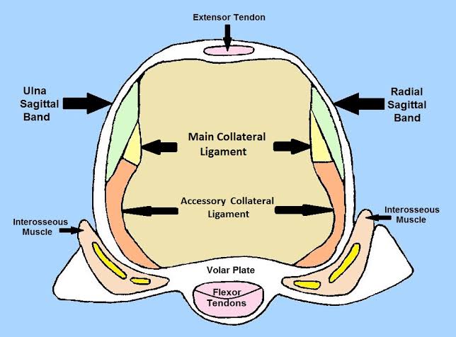 Dr. Ameya Kawthalkar tweet media