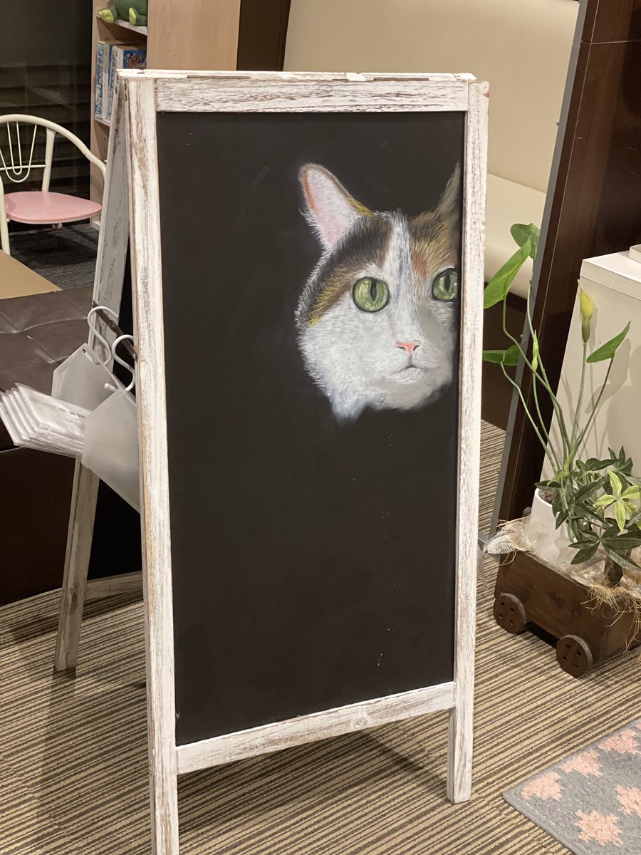 shintanabe413's tweet photo. 昨日描いた猫のチョークアート。ネコに見える？ https://t.co/CUPlqa30aI