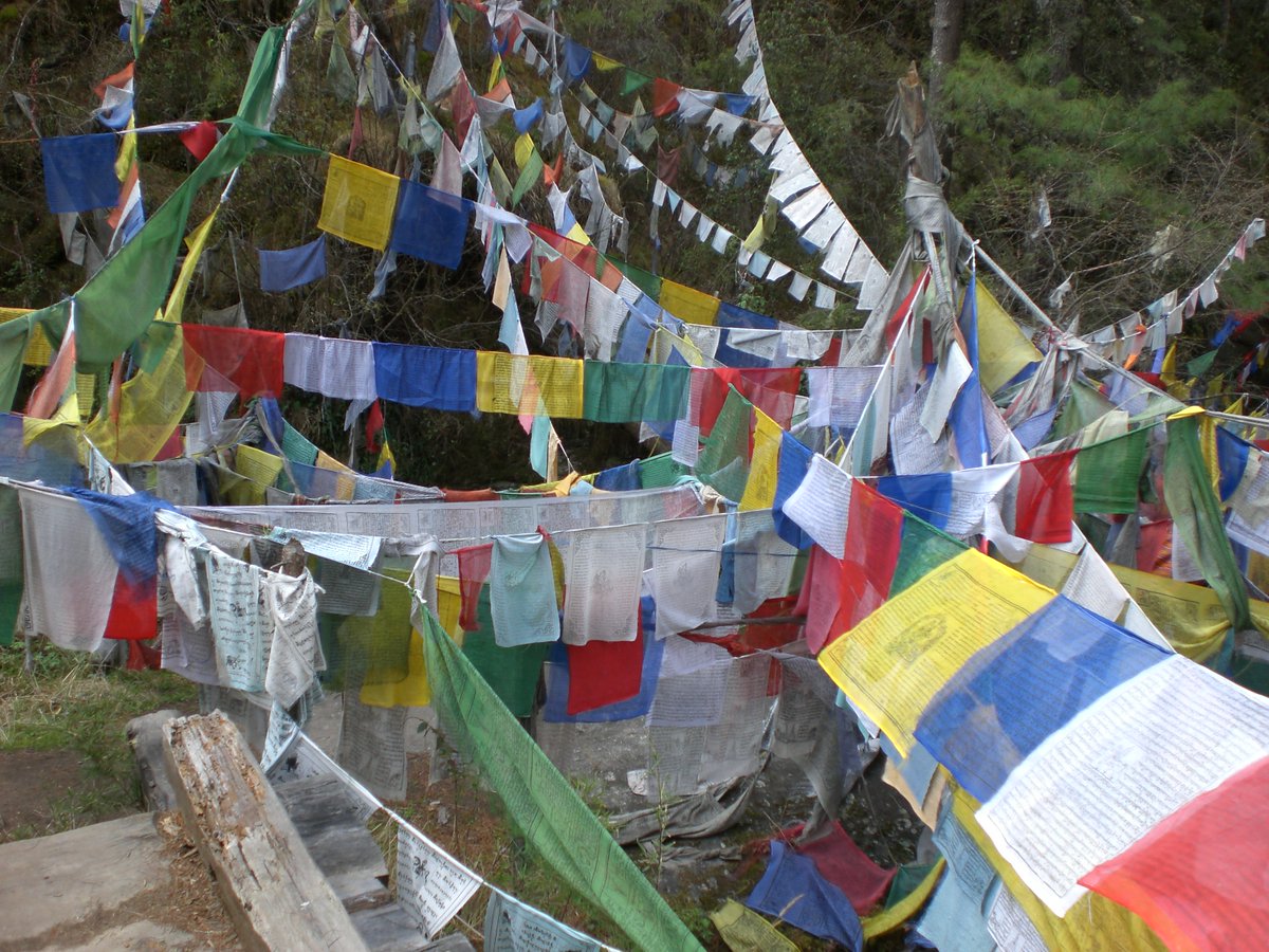 Dave Bexfield tweet media