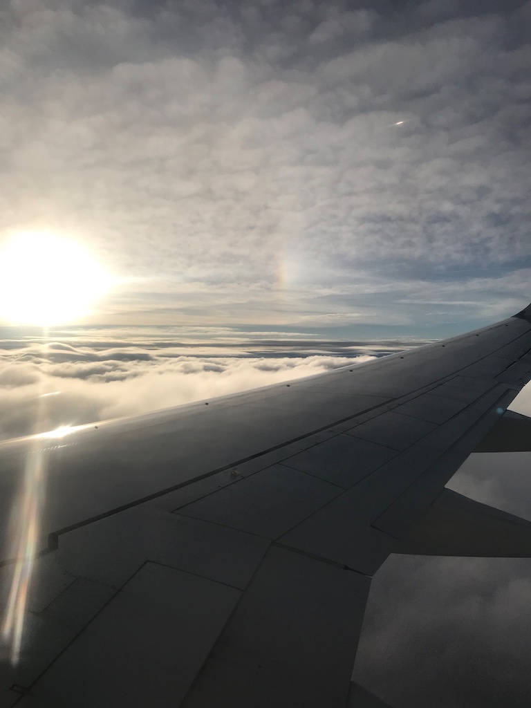 MerylFeral's tweet photo. @Alec_Zeck Last flight I saw a plane pass below us spewing out far more than the usual exhaust. Was too quick for me to photo, but 1st shot is at same altitude above a natural cloud layer. 2nd is having descended to plane's altitude. See the grid pattern? Also the dirtier colour of the air. https://t.co/FA7qDlGAqB