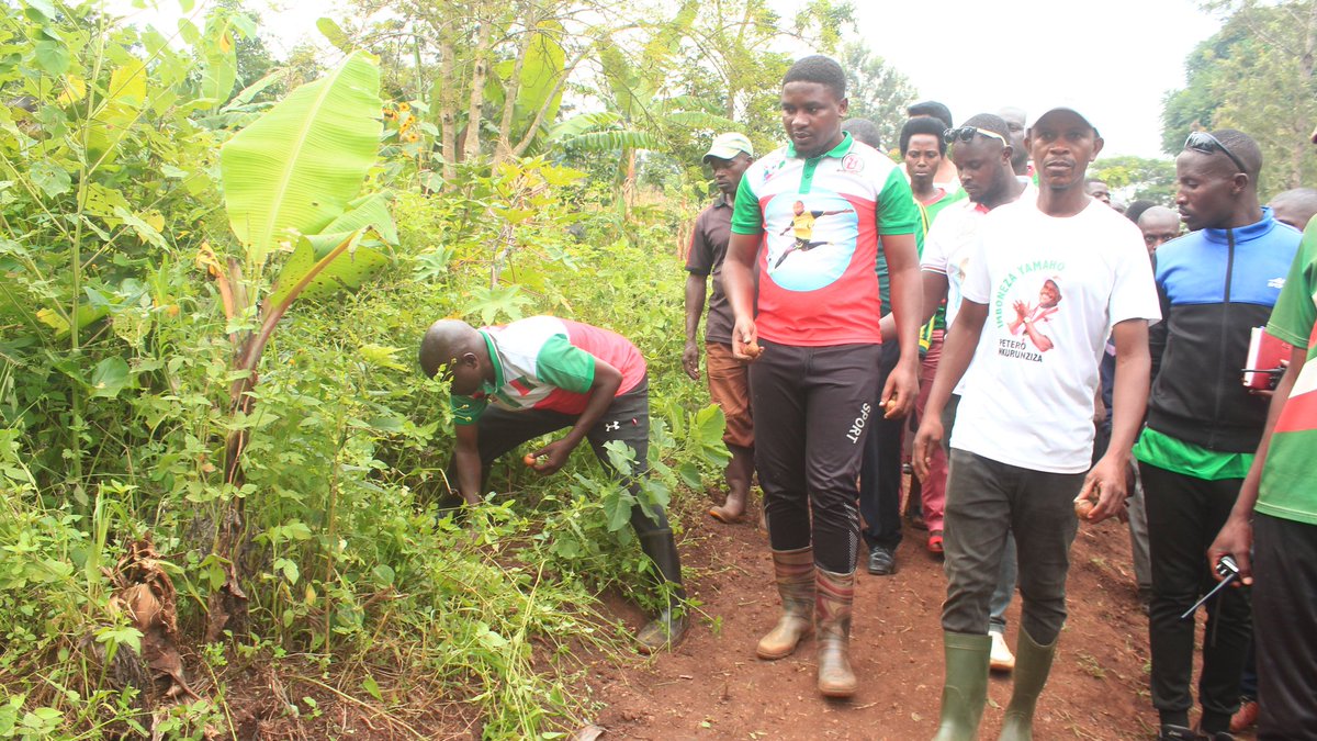 CnddFddButanyer's tweet photo. Urugendo rw'uno munsi 22/01/2024 Umunyabanga yarusozerereye ku Mutumba #Nunga uri ku kiyaga #Cohoha, ahatewe ibibuto vy'amavoka bizokwimishwa (Greffage) n'umugambwe @CnddFdd kugira haboneke ivoka yo mu bwoko bwa #Ruhere.
@CnddFdd 
@R_Ndikuriyo 
6/7 https://t.co/Ikbj8r5XZ8