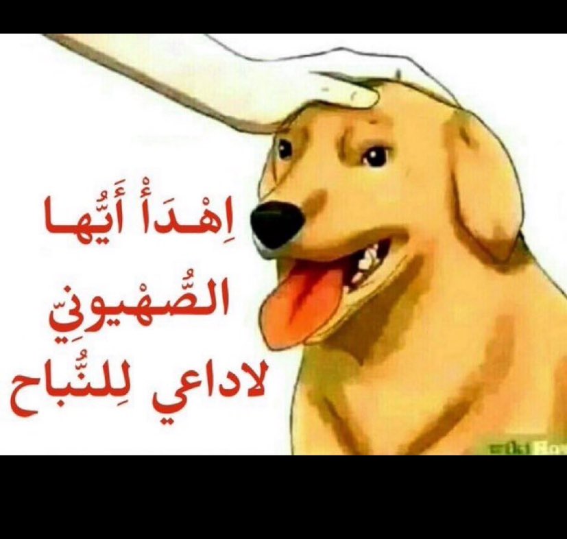rawyaMsl's tweet photo. @DimaSadek https://t.co/Fy62CmgHju