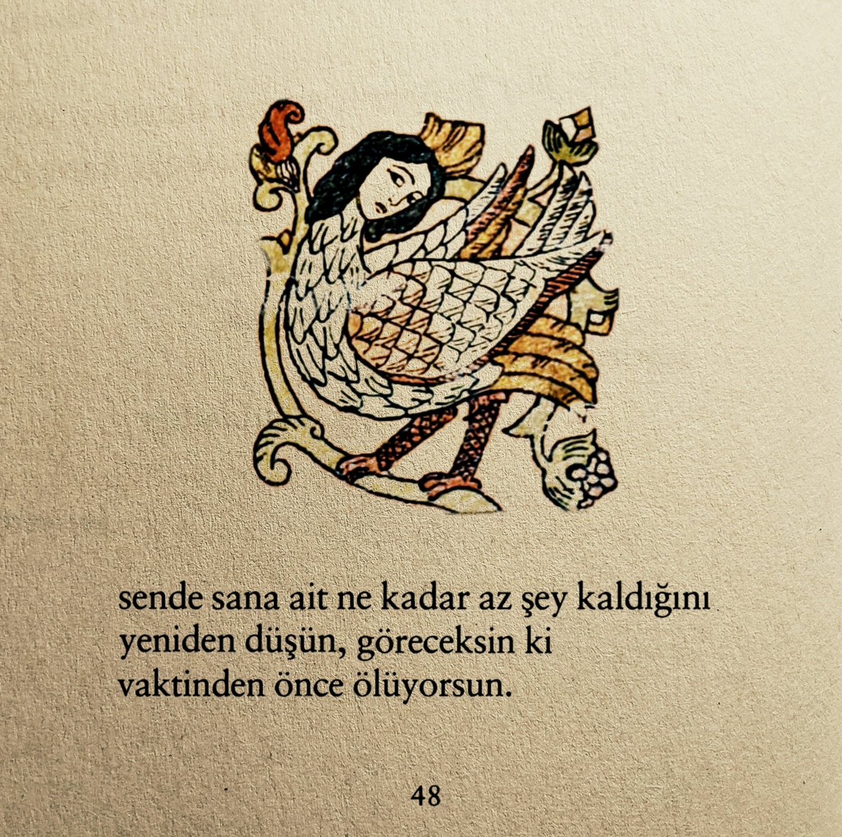 nelergorecegiz's tweet photo. Seneca. https://t.co/RpuF9K4540