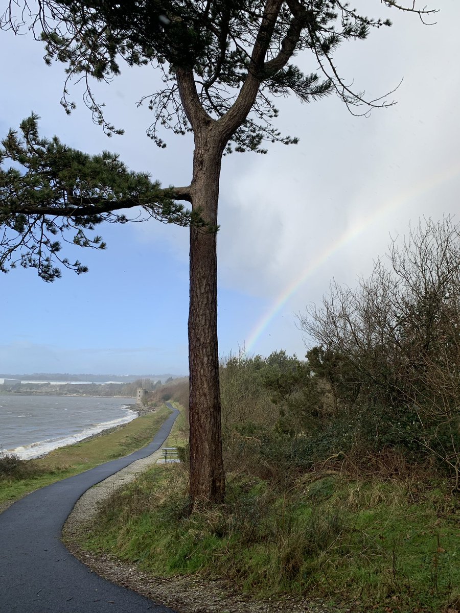 The Castellated Tower, known locally as the Barn or Castle on the shore of Lough Mahon, possibly built as a Folly for what was once but now gone, Carrigrennan House on Little Island…great walk Amenity too. 🌊 🏰