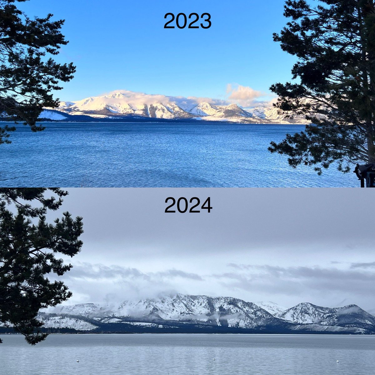 Another one year comparison from the same spot @EdgewoodTahoe. Record snow last year vs. hardly any this year. Again, more snow in @visitmusiccity than @Visit_LakeTahoe! Uncharacteristic of El Niño pattern, which we are discussing @ #OSSTahoe. #DefinitelyDifferent