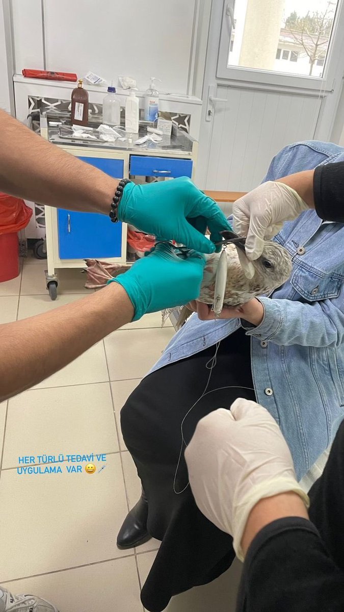 Davuğun intikamı alındı 👍